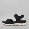 CC Resorts 'Ram Flyknit Sandal'  - Black